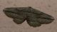 1233mn 007.JPG