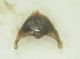 2011-05-23 22-35-39 - 0002.JPG