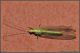 DSC_1566a.jpg