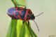 DSC_9778pbase.jpg