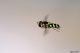 DSC_9854pbase.jpg