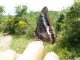 28 05 2011 099.jpg