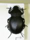 DSCN7716.JPG