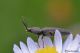 DSC_5975.jpg