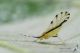 IMG_9388_small.JPG