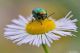 DSC_0550pbase.jpg