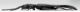 Pseudeuanoma ionica Pic, 1901 - DRILIDAE 2.jpg