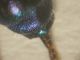 DSCN7944.JPG