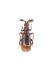 Paussus turcicus_Kuruca_042.jpg