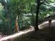 Appennino etrusco_celtico  4.jpg