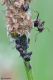 DSC_1274pbase.jpg