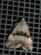 k7773w 055.JPG