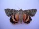DSC00418.JPG