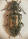 DSCN8038.JPG