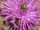 DSCN7464.JPG