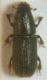 DSCN8074.JPG
