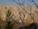 DSCN8090.JPG