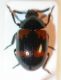 DSCN8119.JPG