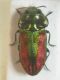 DSCN8165.JPG
