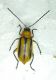 dscn5677.jpg