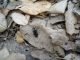 DSC00703.JPG