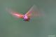 DSC_2716pbase.jpg