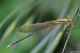 DSC_2268pbase.jpg