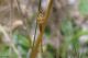 DSC_2238pbase.jpg