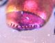 DSCF1694.JPG