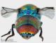 Chrysura_particolare_26VI2011.jpg