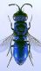 DSCF1698.JPG