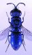 DSCF1698.JPG