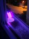 DSCN8254.JPG