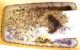 DSCN7359_1088.JPG