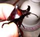 DSCN7369_1098.JPG