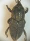 DSCN8321.JPG