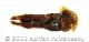 Anisoplia austriaca mn_pula_dwtmk.jpg