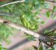 DSCN7962.JPG