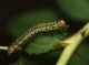 P7303676 rid.jpg