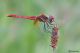 DSC_4358apbase.jpg