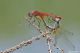 DSC_4330pbase.jpg