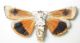 DSCN8430.JPG