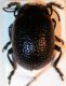 DSCN8435.JPG