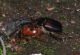 Immagine 056.jpg