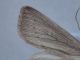 DSC00348.JPG