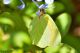 750DSC_0039.jpg