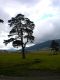 DSCN2041.JPG