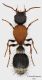 Habitus_small.jpg