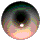 black eye.gif