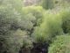 DSC00389.JPG